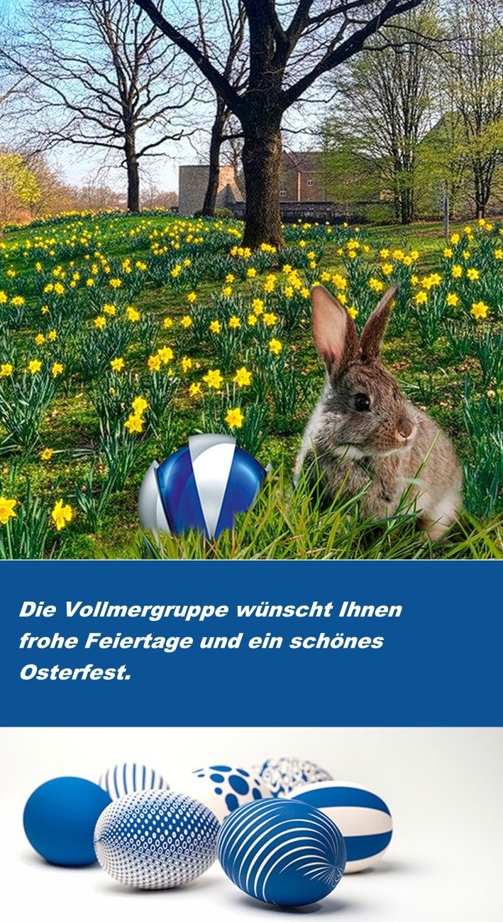 Osterhase auf Narzissenwiese